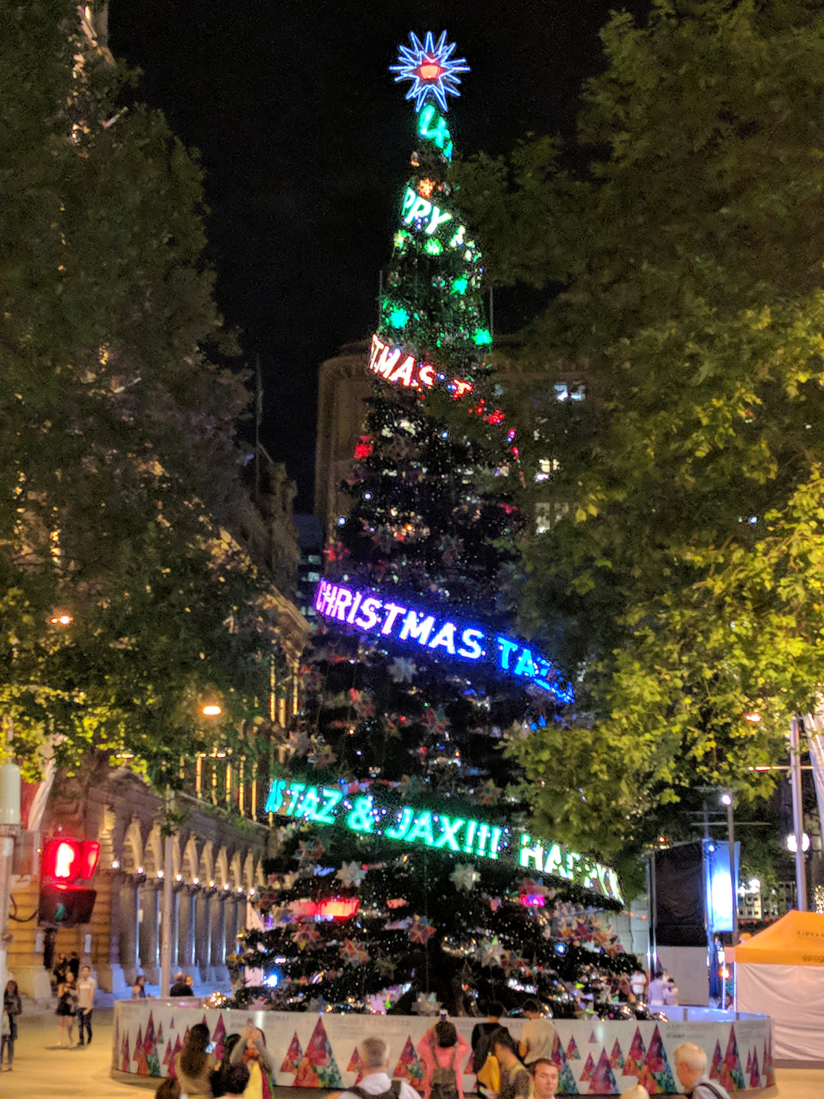 Christmas Tree in Sydney